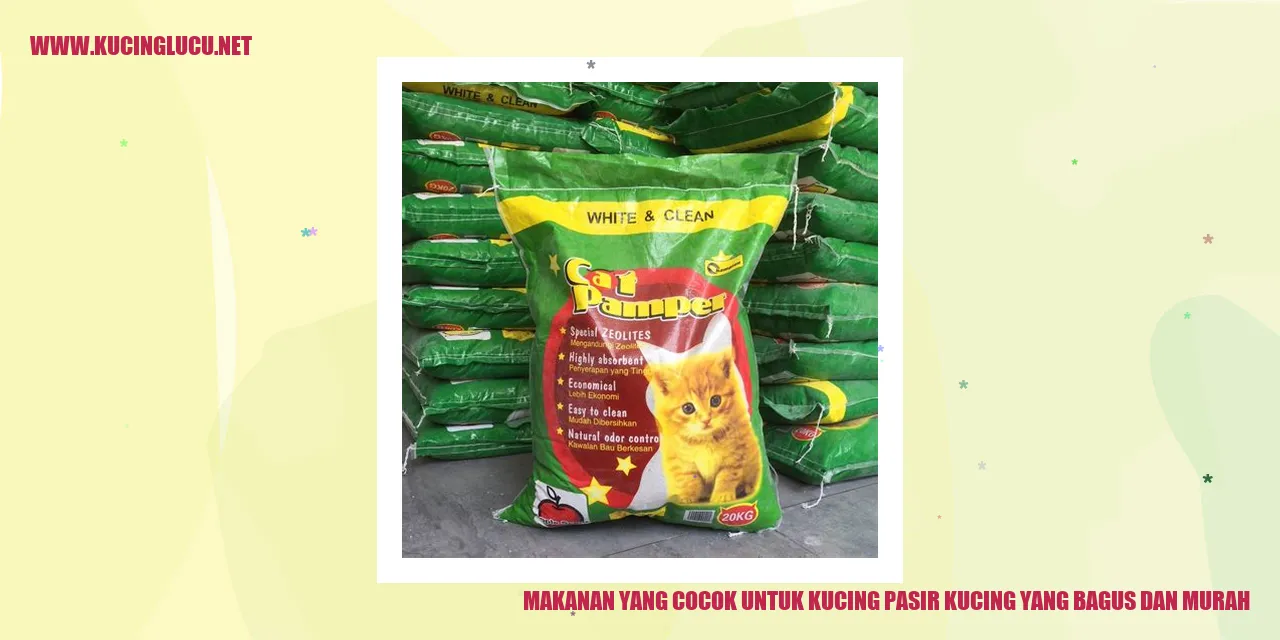 Makanan yang Cocok untuk Kucing pasir kucing yang bagus dan murah