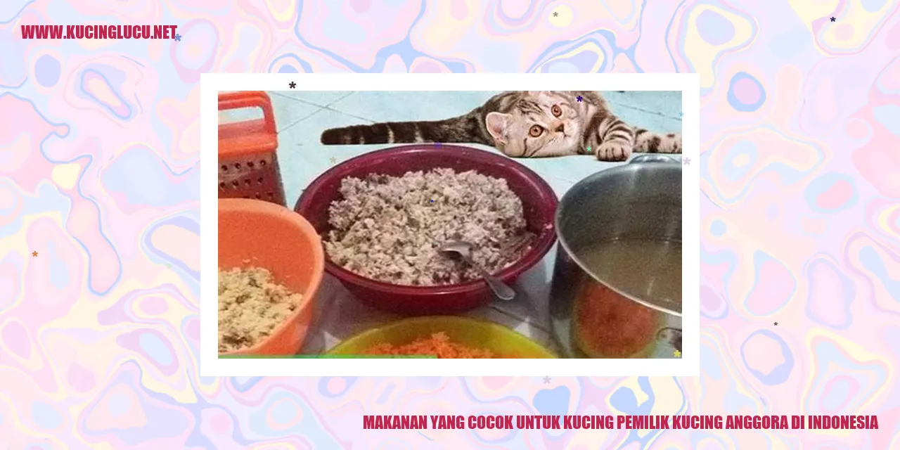 Makanan Kucing Anggora