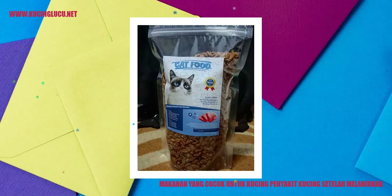 Makanan Kucing Setelah Melahirkan