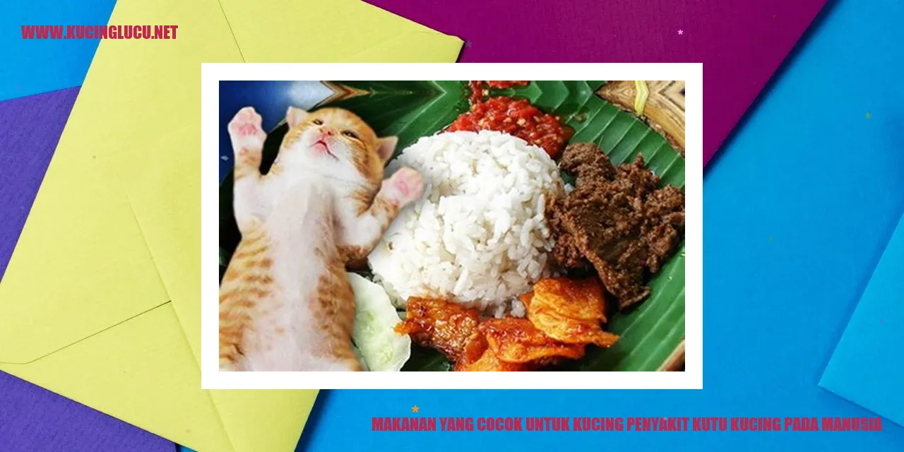 Gambar Kucing dengan Kutu