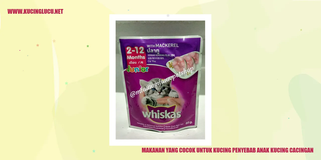 Makanan yang Cocok untuk Kucing penyebab anak kucing cacingan