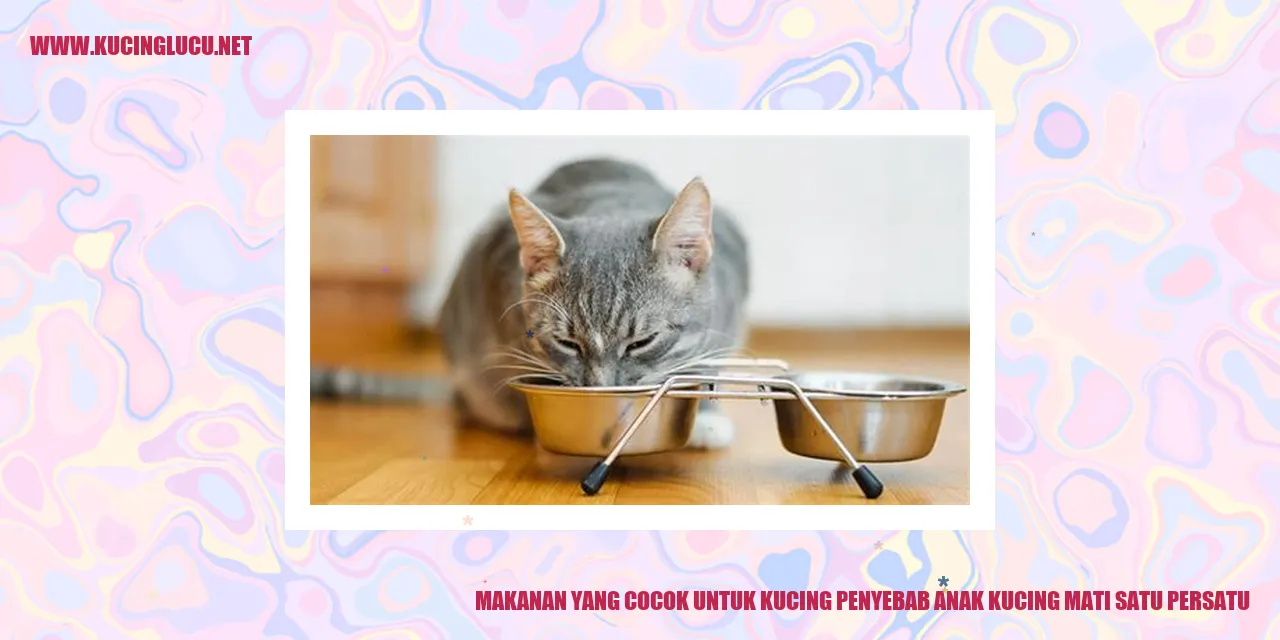 Makanan yang Cocok untuk Kucing