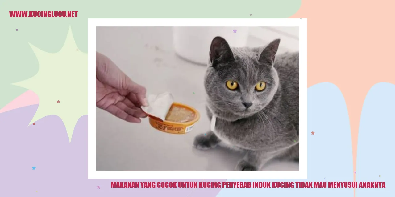 Gambar Makanan Kucing