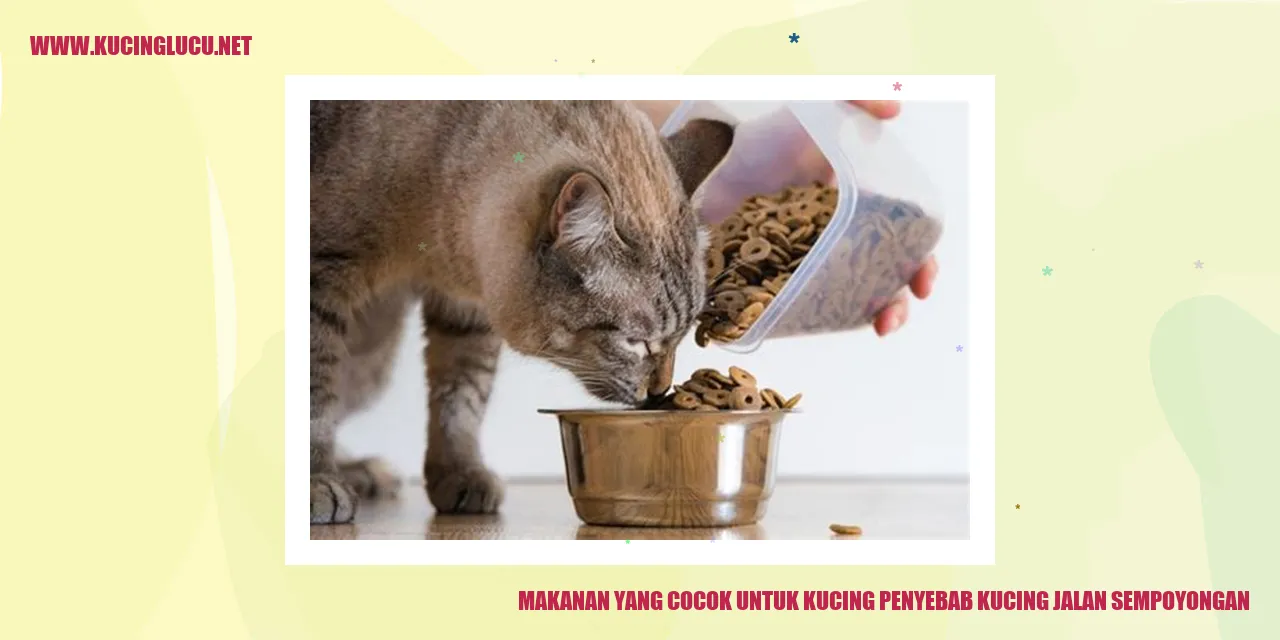Makanan untuk kucing