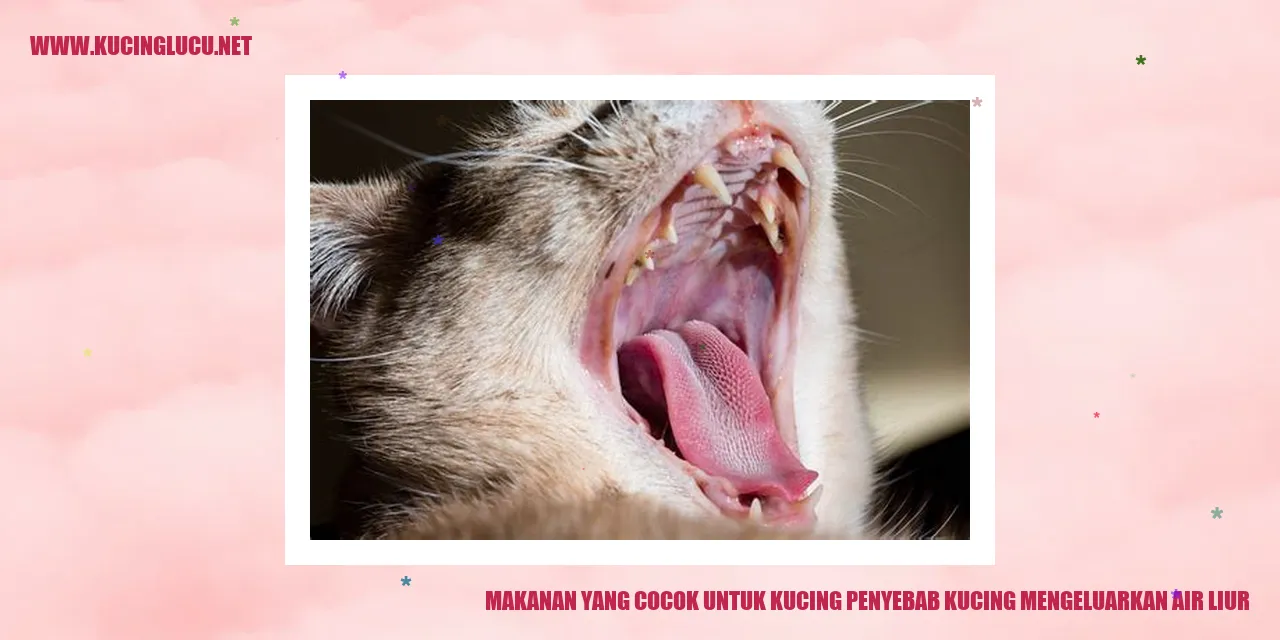 Gambar Makanan untuk Kucing