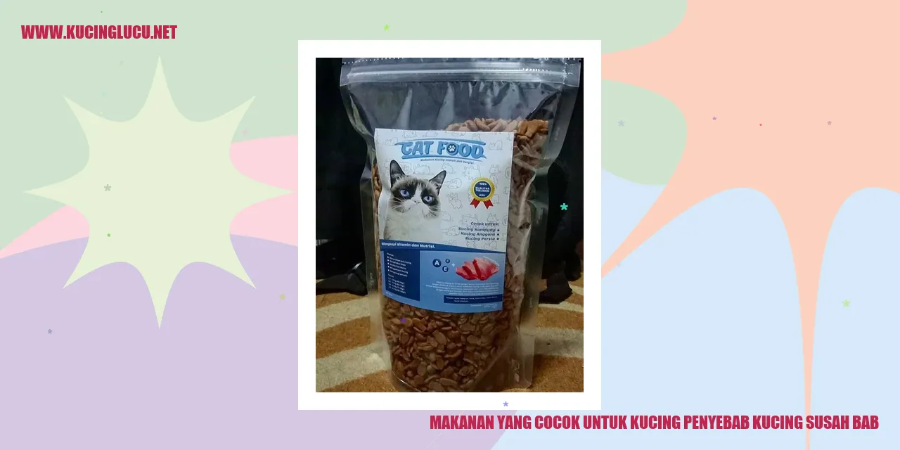 Makanan yang Cocok untuk Kucing penyebab kucing susah bab