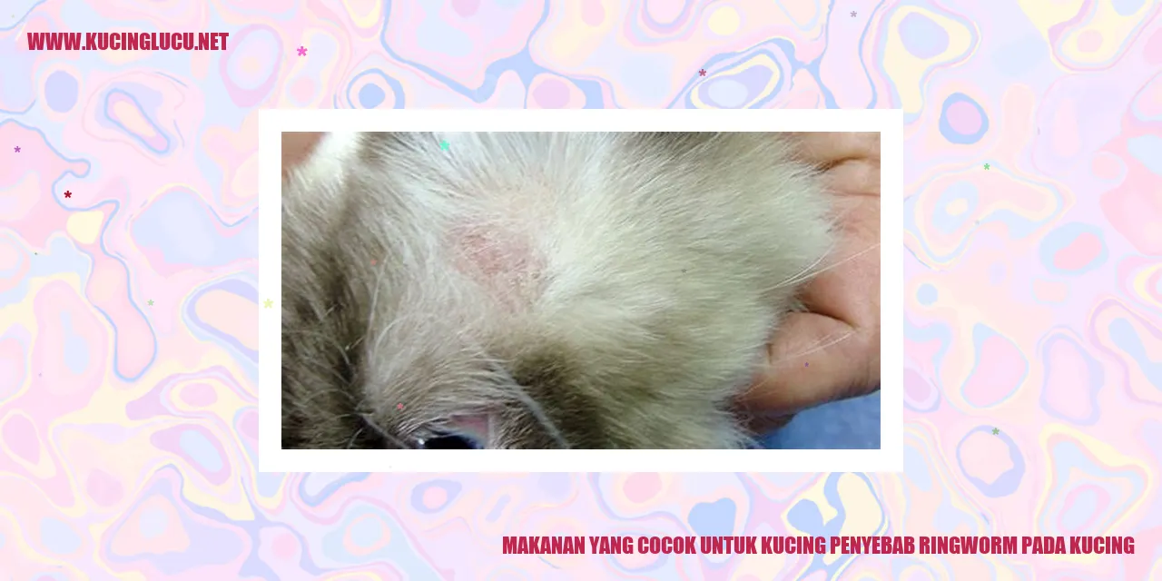 Makanan Kucing