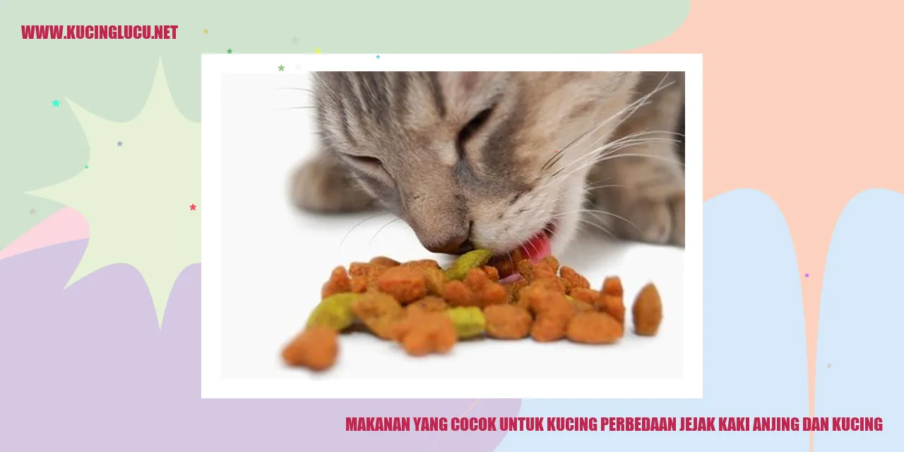 Gambar kucing dan anjing