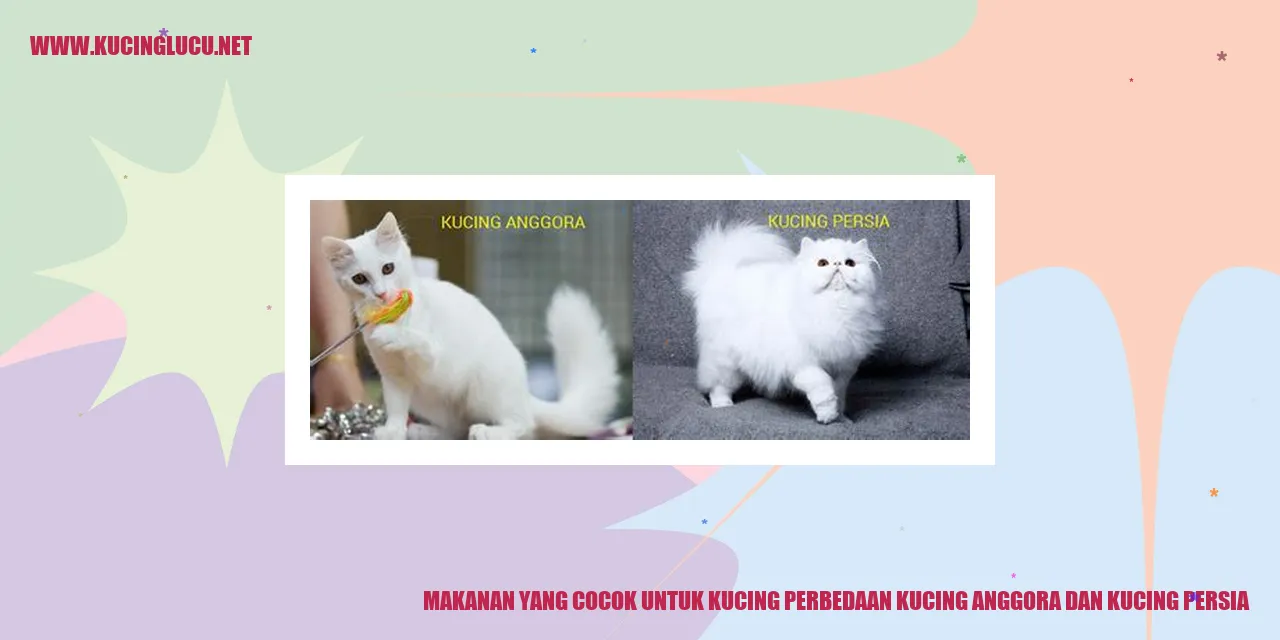 Gambar Kucing