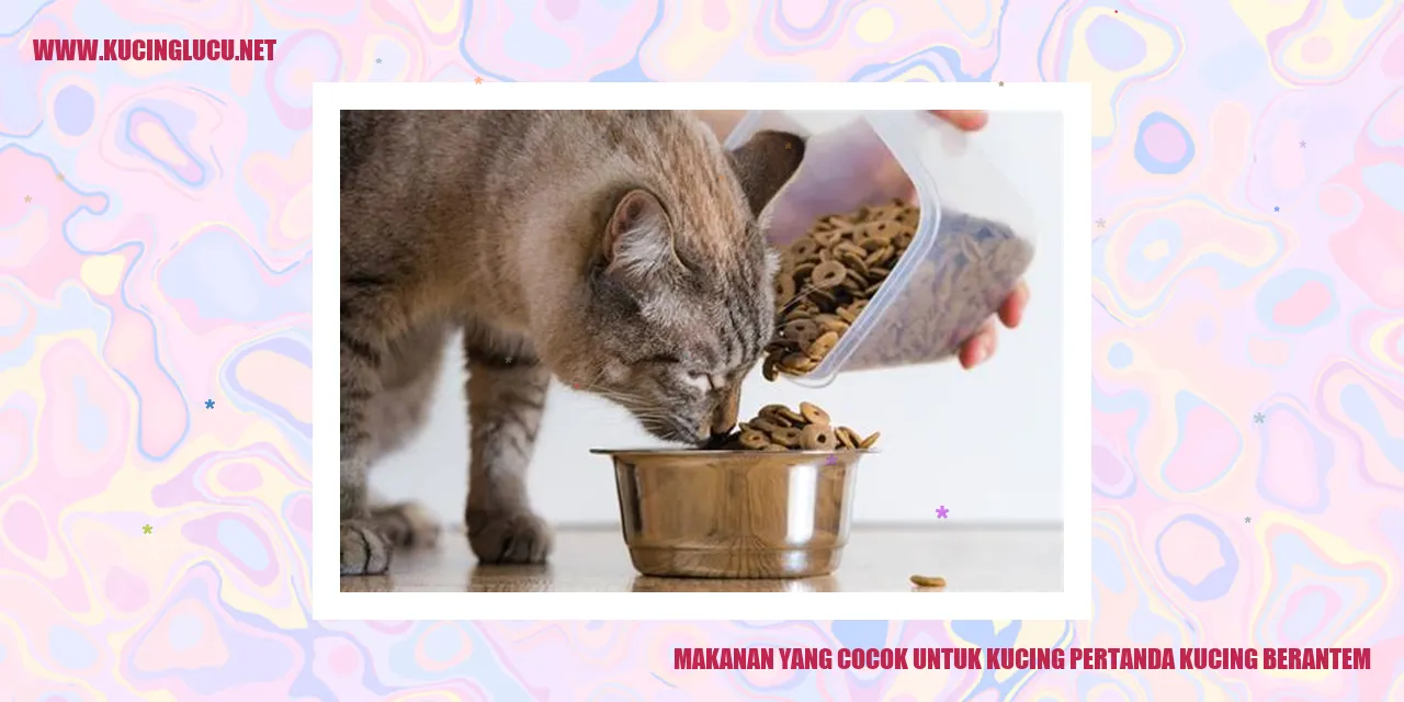 Gambar Makanan Kucing