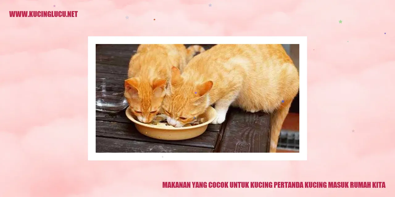 Makanan yang Cocok untuk Kucing