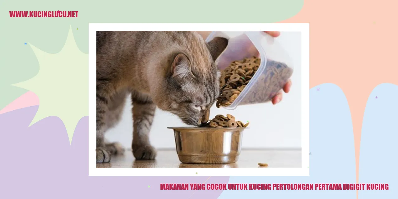 Makanan yang Cocok untuk Kucing pertolongan pertama digigit kucing