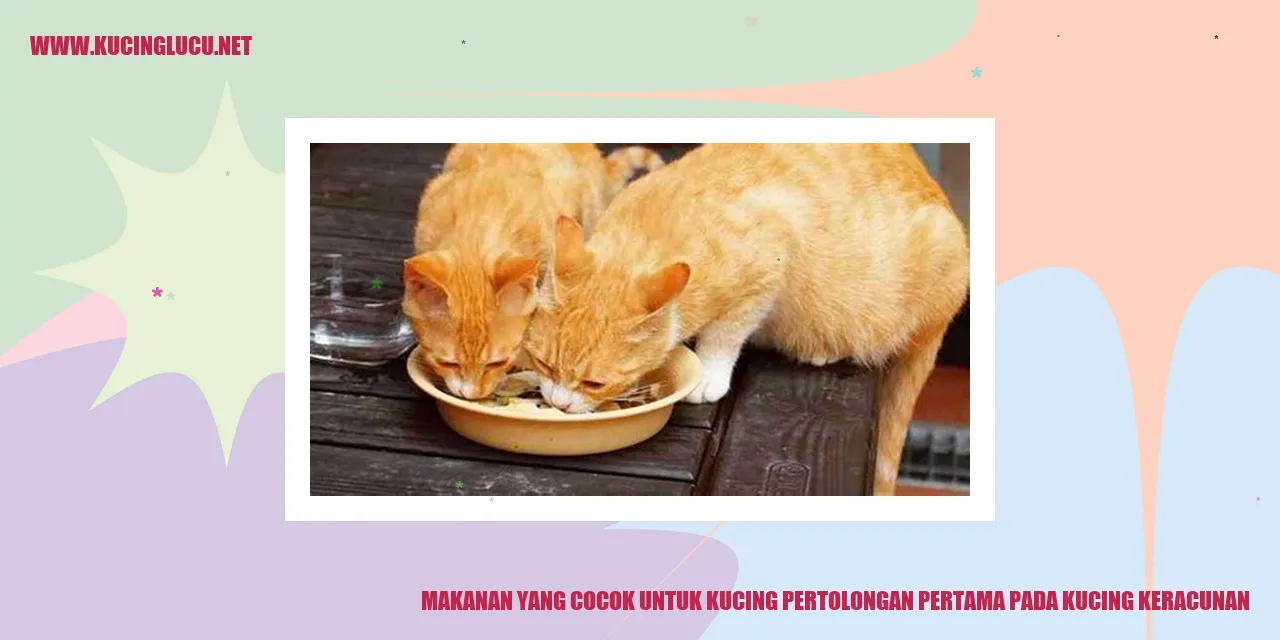 Makanan yang Cocok untuk Kucing pertolongan pertama pada kucing keracunan