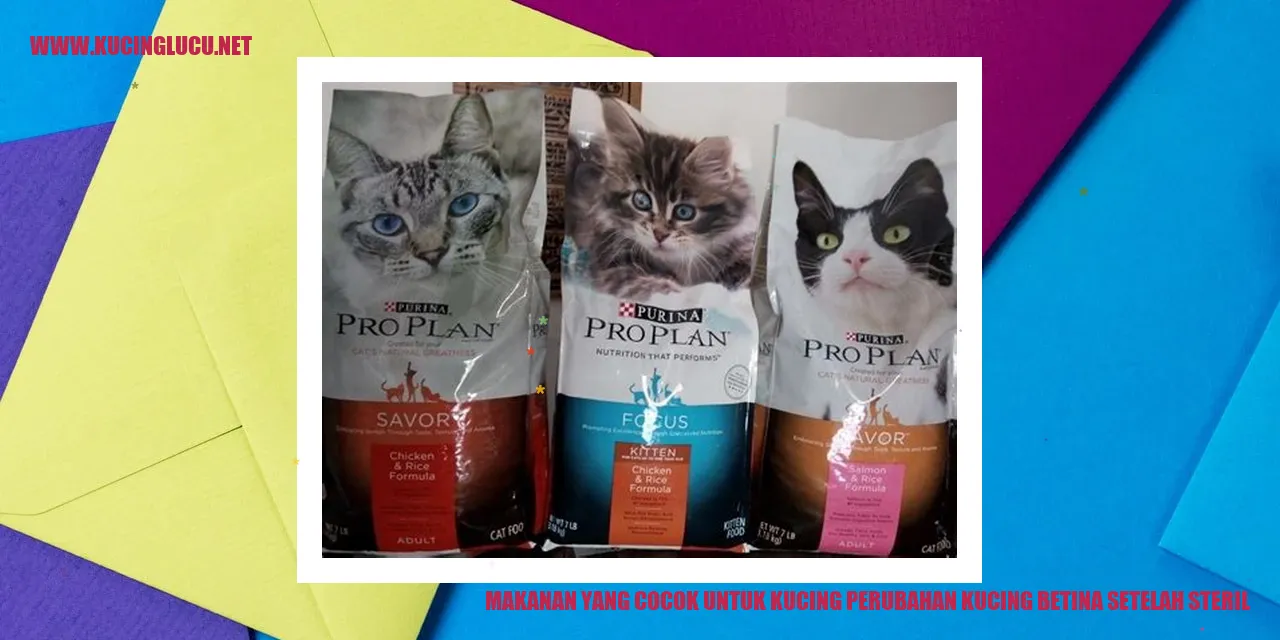 Makanan yang Cocok untuk Kucing perubahan kucing betina setelah steril