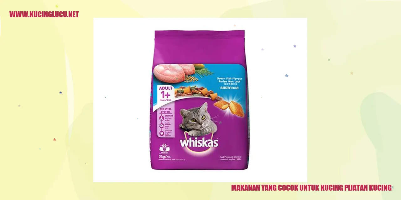 Makanan yang Cocok untuk Kucing Pijatan Kucing