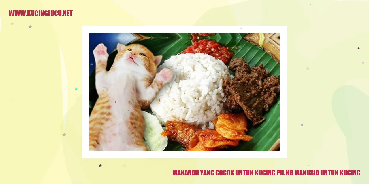 Makanan yang Cocok untuk Kucing