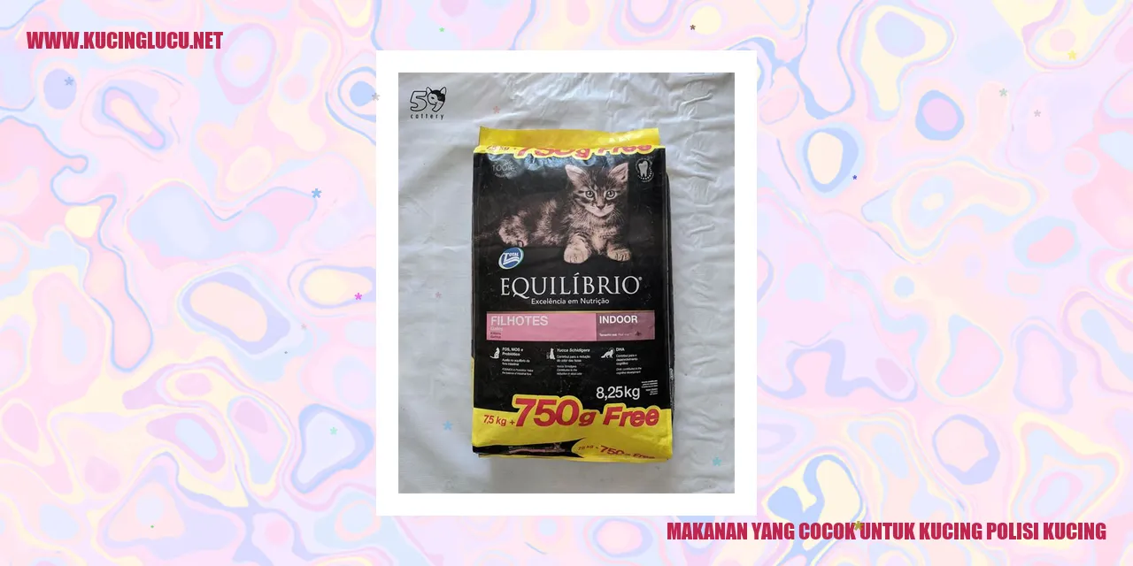 makanan untuk kucing polisi kucing
