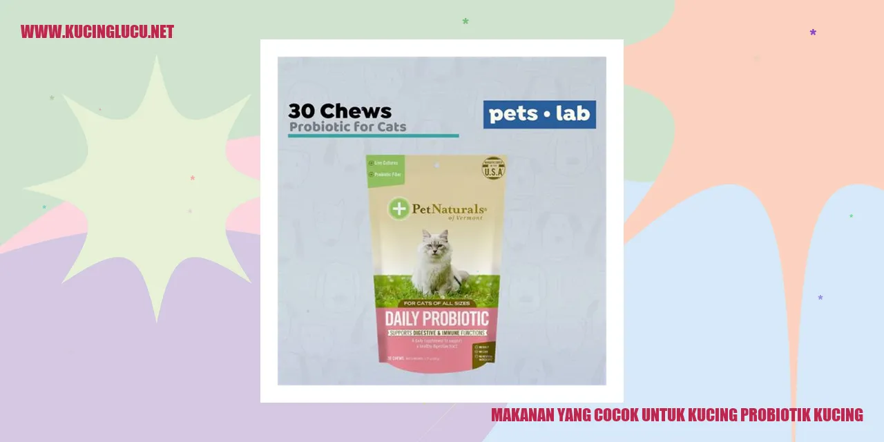 Kucing makanan probiotik