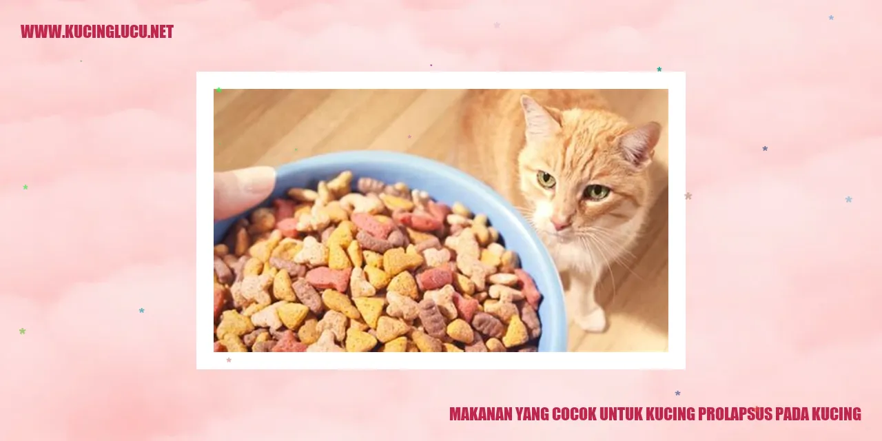 Makanan untuk Kucing prolapsus