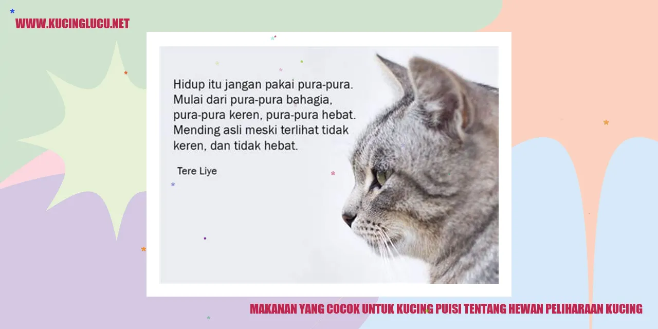 Makanan yang Cocok untuk Kucing