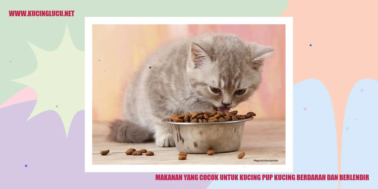 Makanan Untuk Kucing