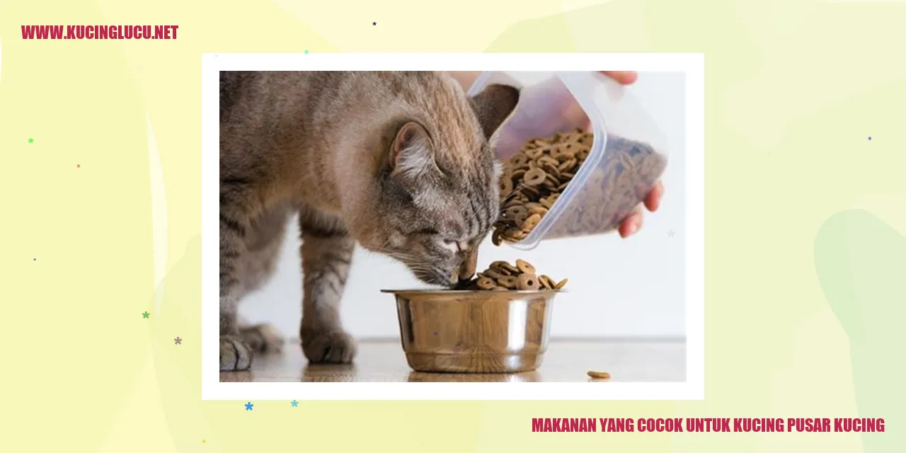 Kucing Pusar Kucing