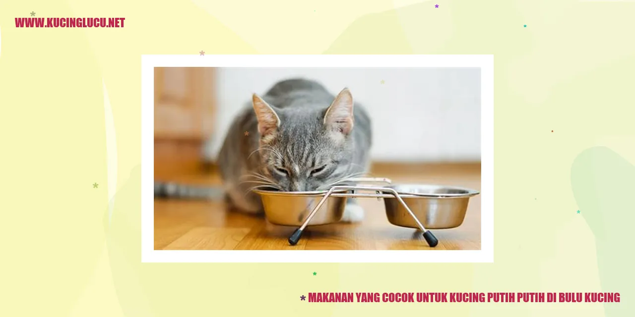 Kucing Berseragam Putih