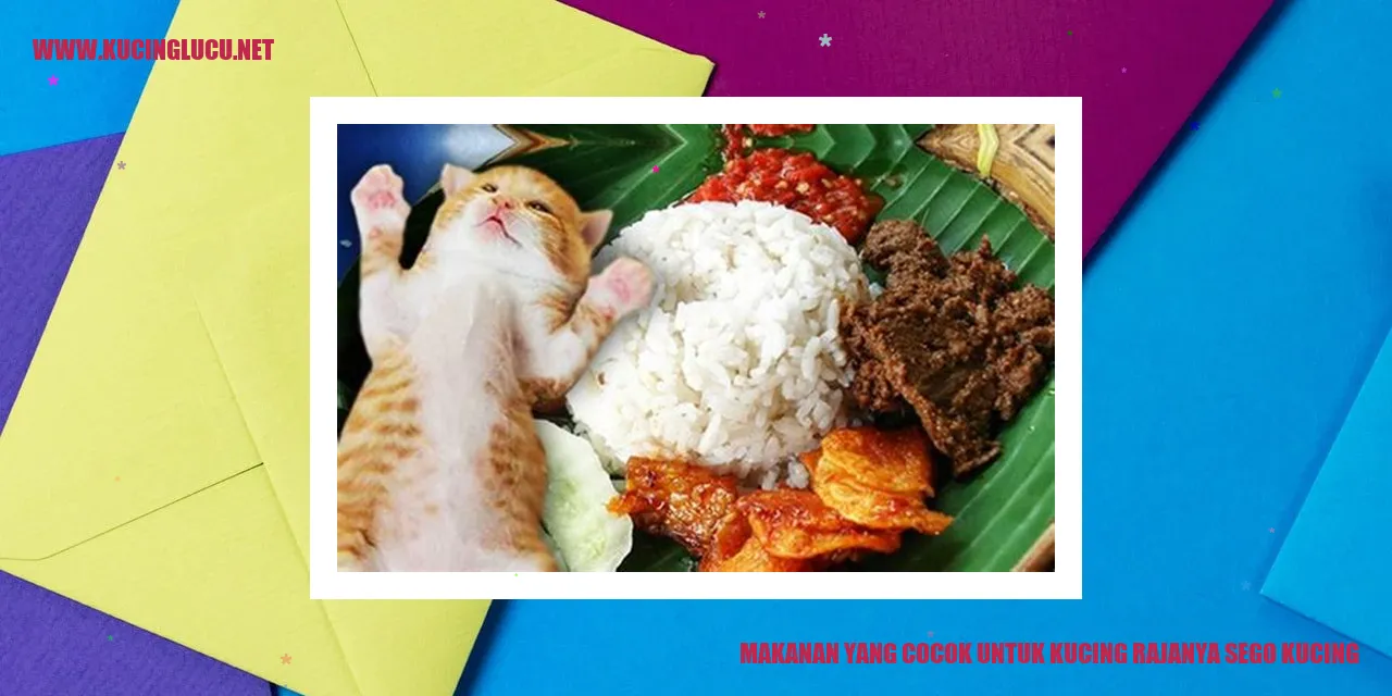 Makanan Kucing