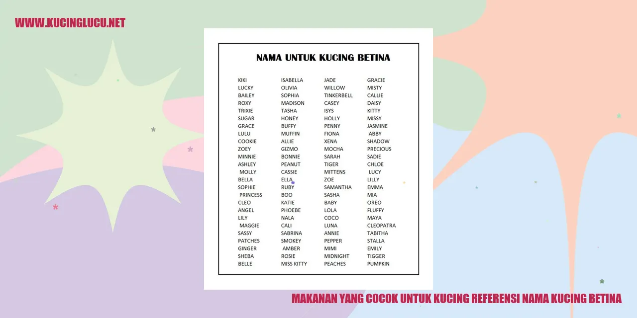 Makanan yang Cocok untuk Kucing