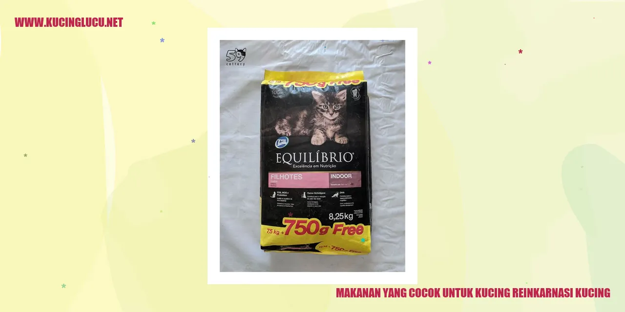 Kucing makanan