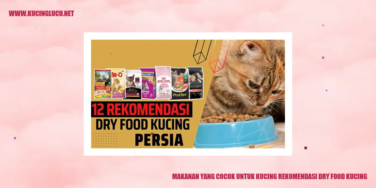 Gambar kucing yang sedang mengonsumsi makanan kering