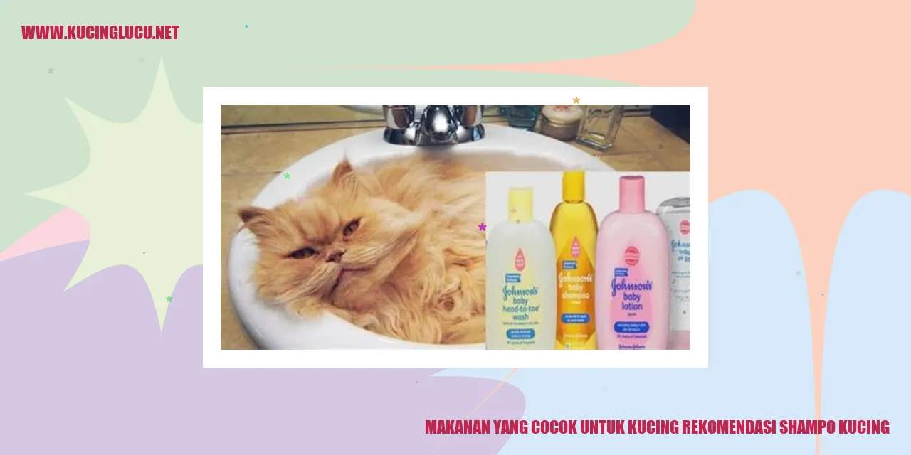 gambar kucing
