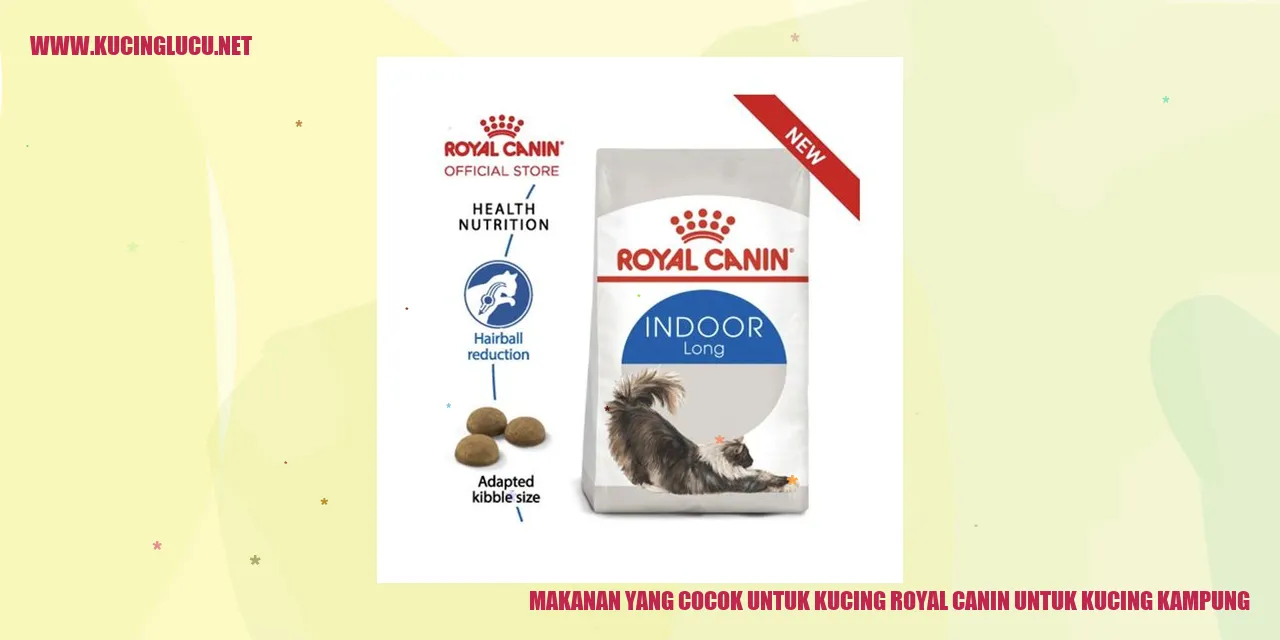 Makanan yang Cocok untuk Kucing