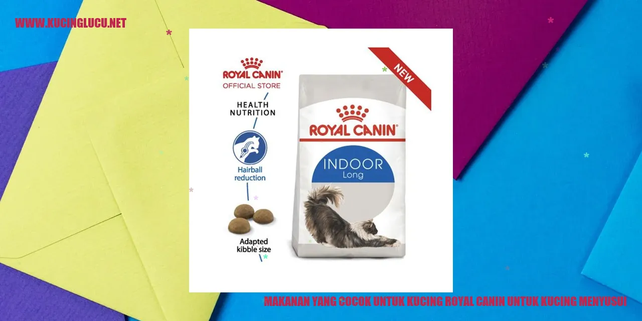 Makanan yang Cocok untuk Kucing Royal Canin