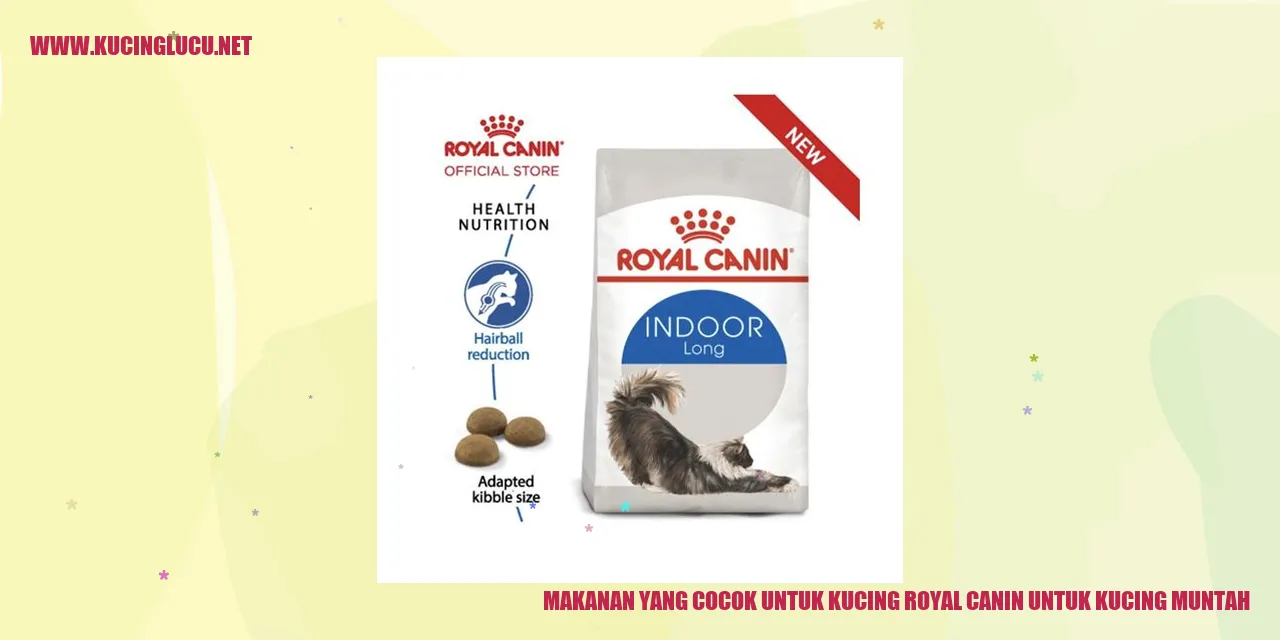 Makanan yang Cocok untuk Kucing Royal Canin untuk Kucing Muntah