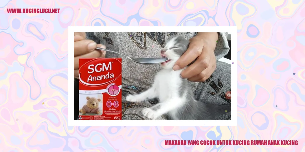 Makanan yang Cocok untuk Kucing rumah anak kucing
