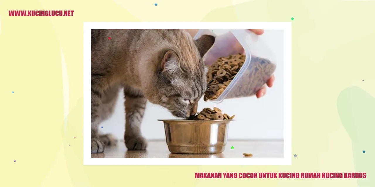 Makanan yang Cocok untuk Kucing Rumah Kucing Kardus