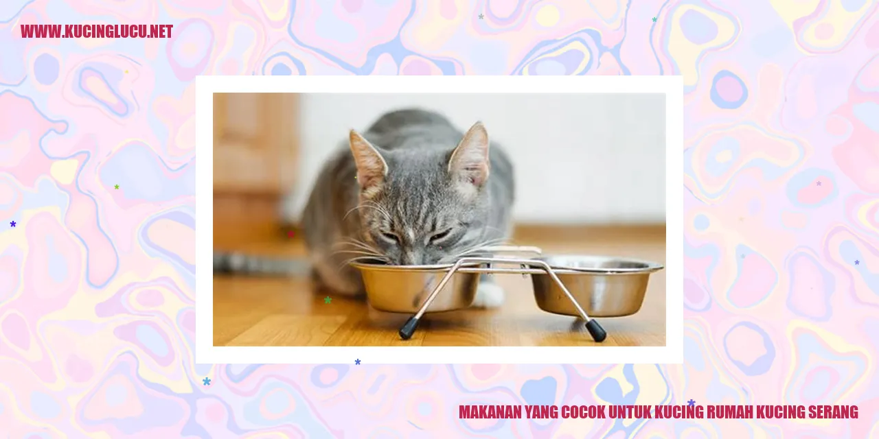 Makanan yang Cocok untuk Kucing Kesayangan