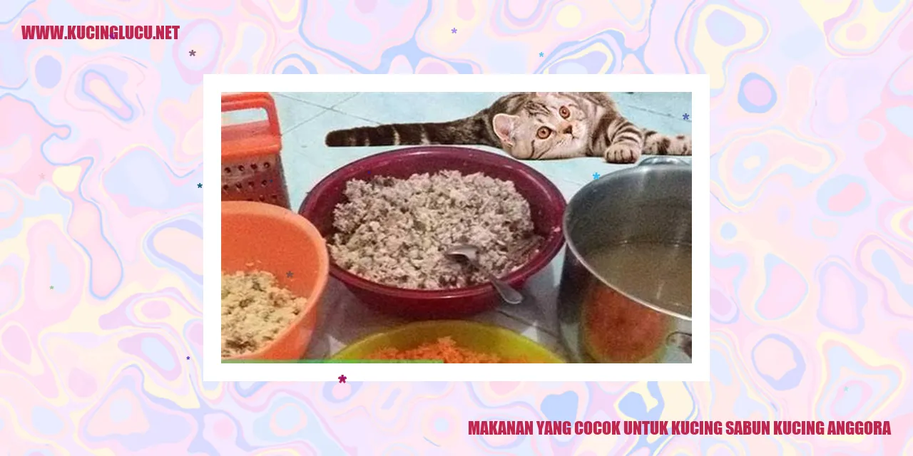 Makanan yang Cocok untuk Kucing Anggora