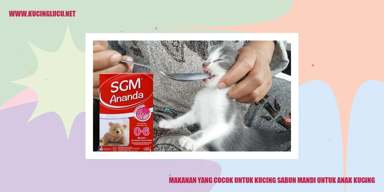 gambar kucing