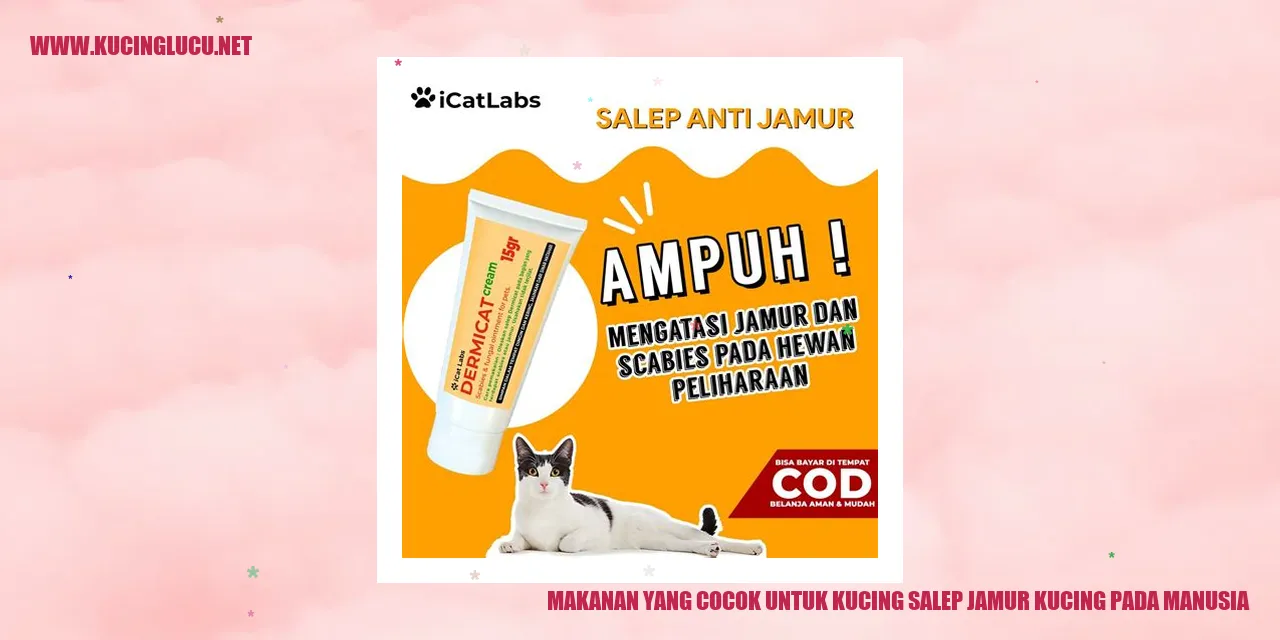 Gambar Kucing