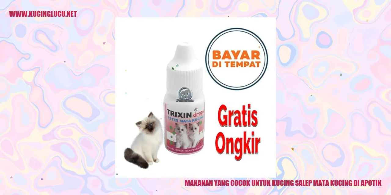 Gambar Kucing