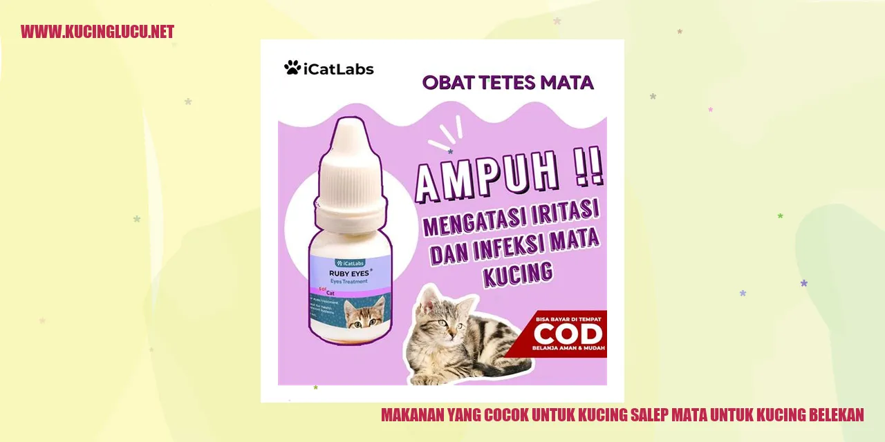 Makanan yang Cocok untuk Kucing dengan Salep Mata
