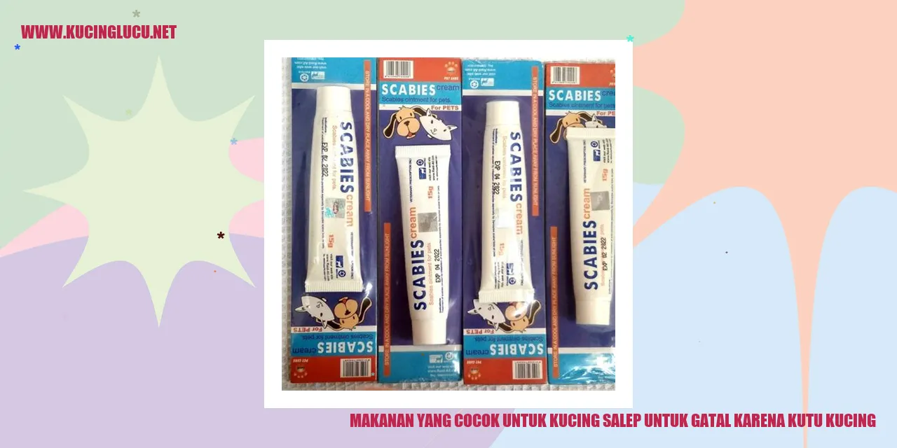 Makanan yang Cocok untuk Kucing salep untuk gatal karena kutu kucing