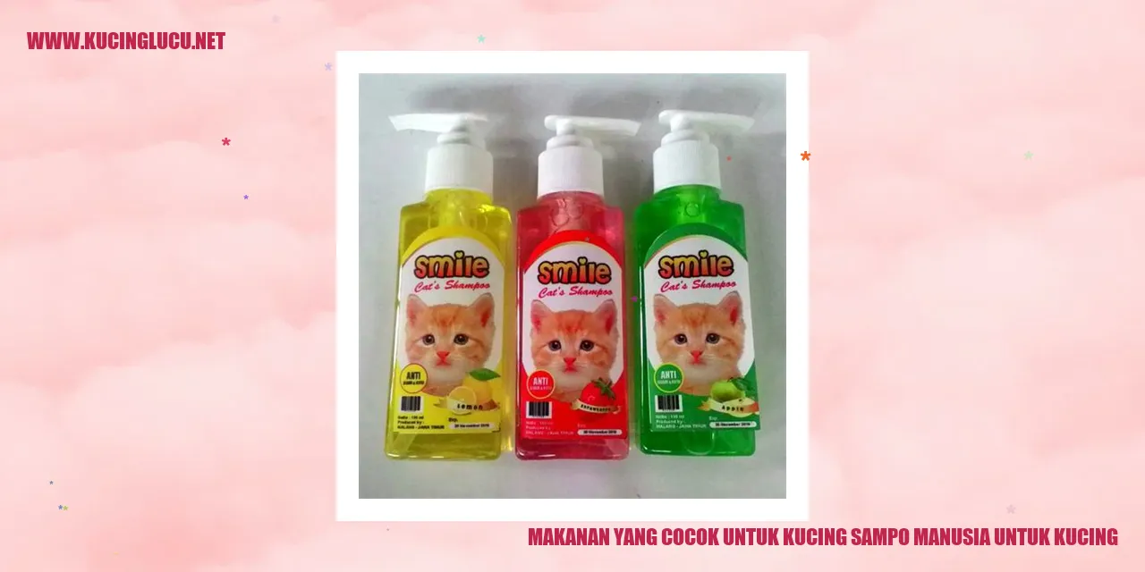 Makanan yang Cocok untuk Kucing
