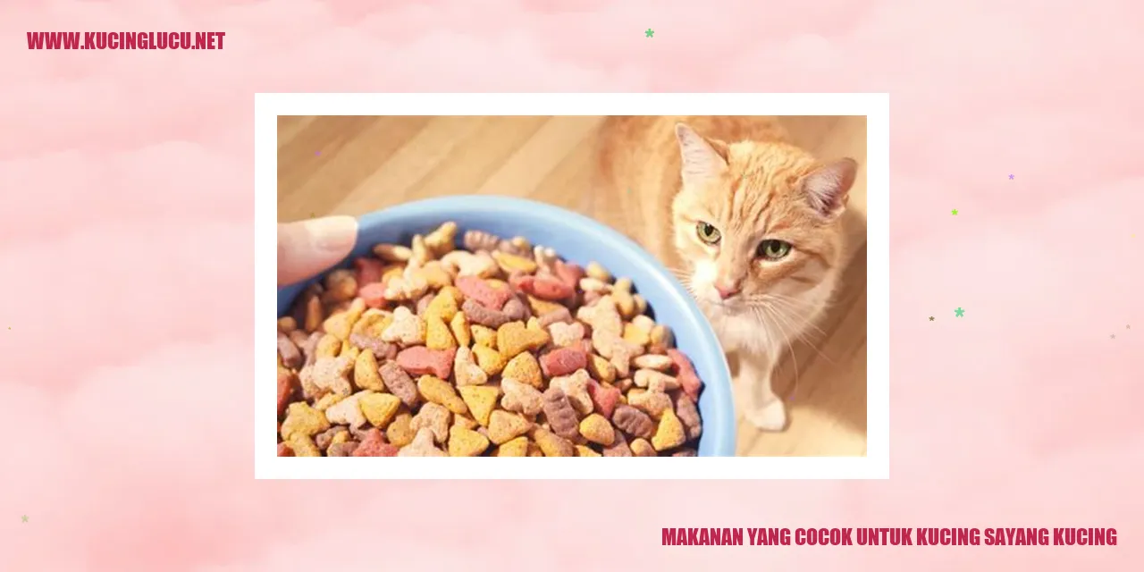 Kucing makan makanan sehat