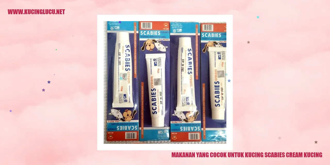 Makanan yang Cocok untuk Kucing scabies cream kucing