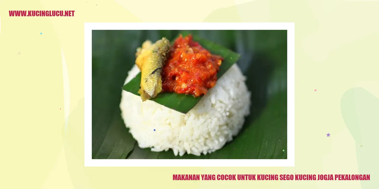 Makanan untuk Kucing