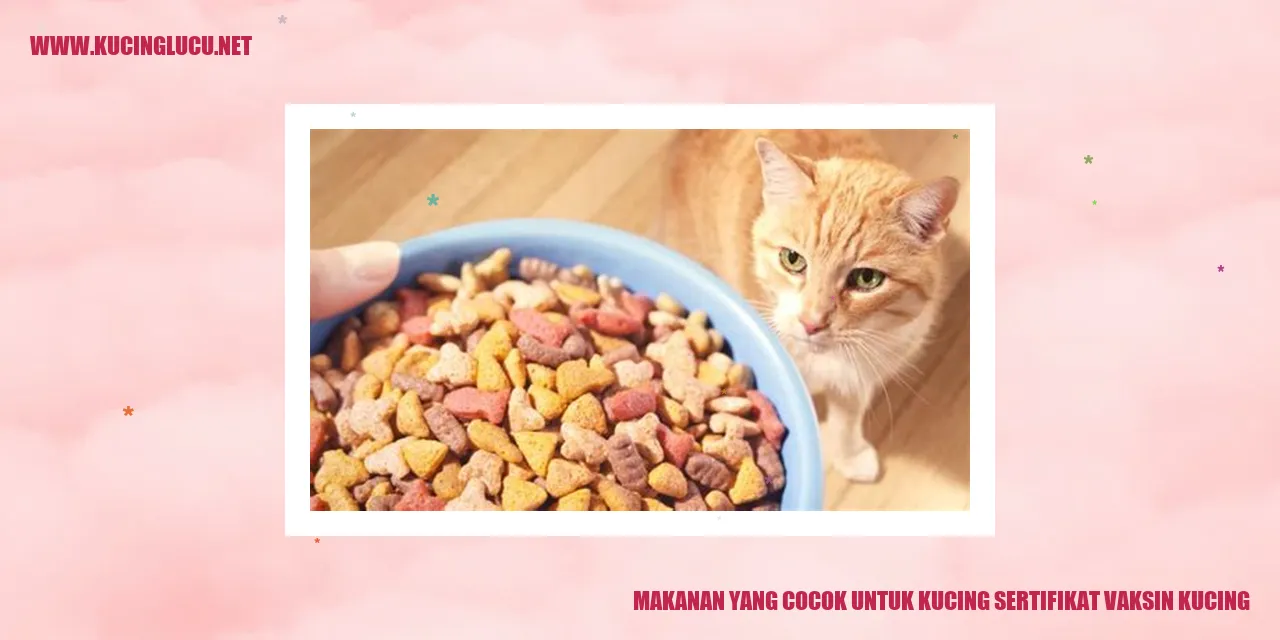 Kucing yang Sehat