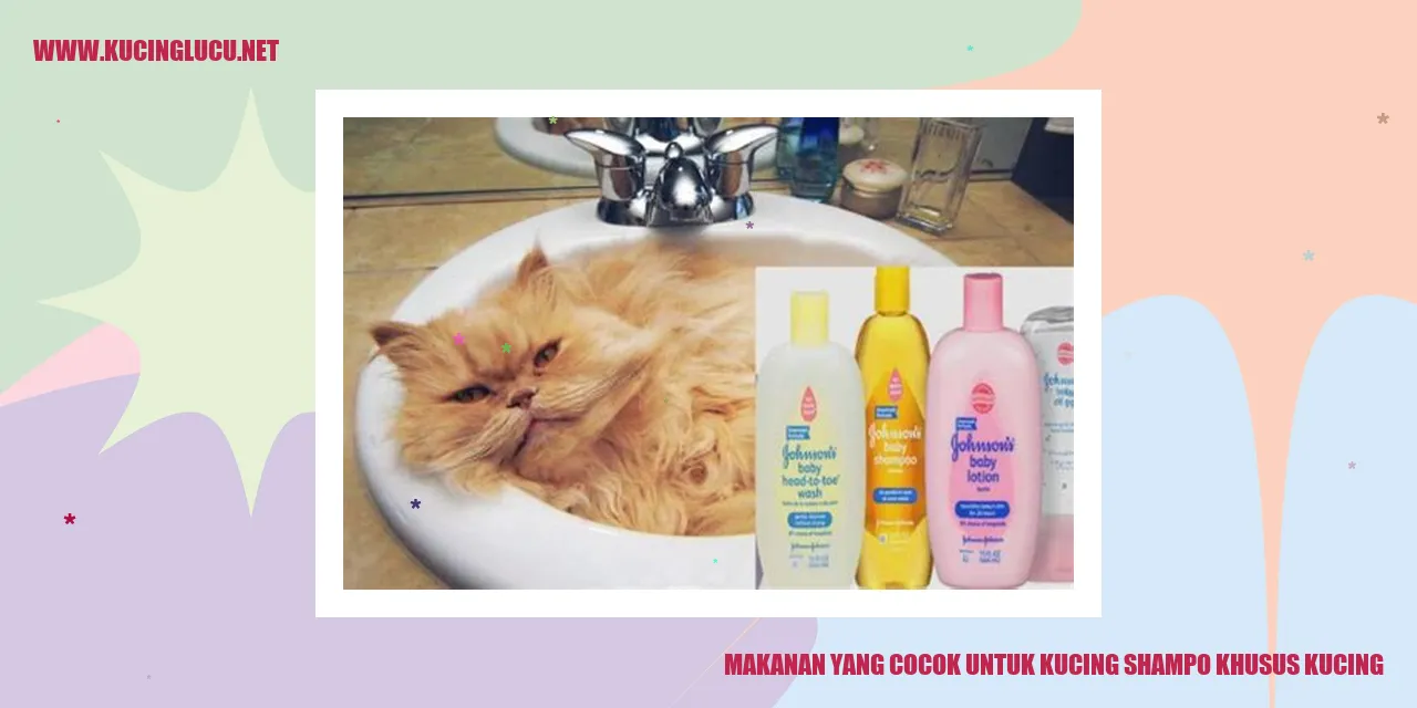 Gambar Kucing